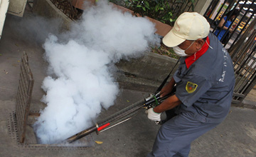 小區(qū)滅蚊現場