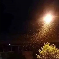 白蟻危害大，4-6月份進入其活躍期 防治白蟻不容忽視！